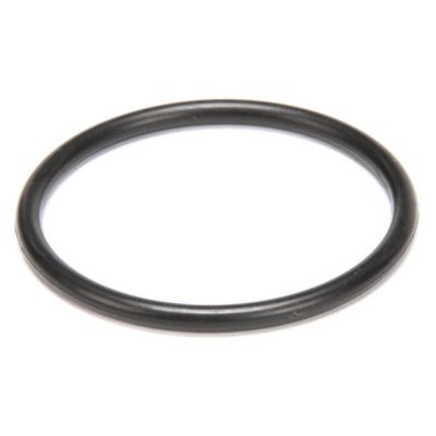 HOBART    00-067500-00019     O RING