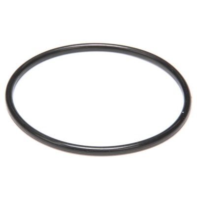 HOBART    00-067500-00021     O RING